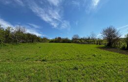  Casă de vacanță, 4200 mp teren, panoramă superbă, sat Godeni–Melinești