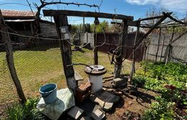  Casă de vacanță, 4200 mp teren, panoramă superbă, sat Godeni–Melinești