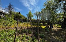  Casă de vacanță, 4200 mp teren, panoramă superbă, sat Godeni–Melinești