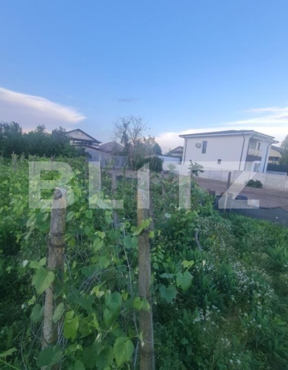 Teren de vânzare Carcea  - 193610TV | BLITZ Craiova | Poza2