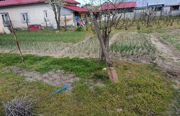 Casa localitatea Soreni Dolj (Comuna Celaru ) teren 8481 mp