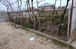 Casa de vanzare CELARU Dolj teren 8481 mp