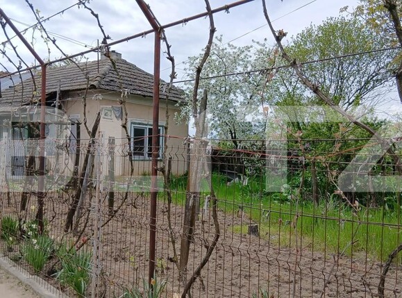 Casa de vânzare 5 camere Soreni - 193614CV | BLITZ Craiova | Poza3