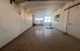 Hala industrială, 800 mp, Acces TIR, zona Bucovăț
