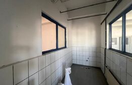 Hala industrială, 800 mp, Acces TIR, zona Bucovăț