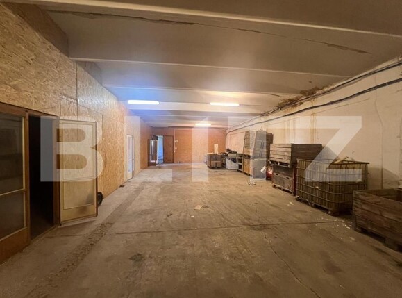 Spațiu industrial de închiriat Bucovat - 193638SII | BLITZ Craiova | Poza8