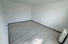 Apartament decomandat 2 camere, 46 mp, zona Rovine - Borcanul cu miere 