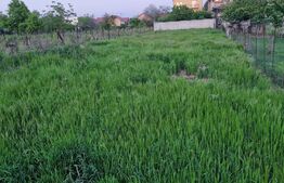 Teren de vânzare 491 mp – Bariera Vâlcii, Craiova