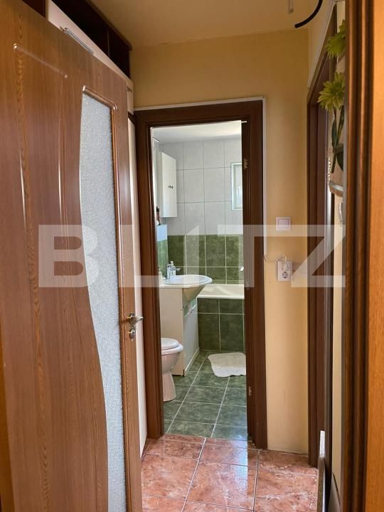 Apartament de închiriat 2 camere Brazda lui Novac - 193669AI | BLITZ Craiova | Poza10