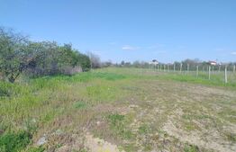 Teren intravilan, 2194 mp, 17 m deschidere, zona Mofleni