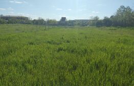 Teren intravilan, 2194 mp, 17 m deschidere, zona Mofleni