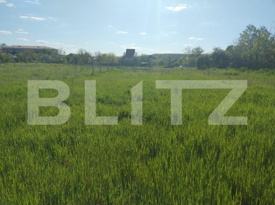 Teren de vânzare Mofleni - 193729TV | BLITZ Craiova | Poza3