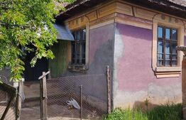 Casă de vânzare în comuna Caraula – 65 mp, teren generos 2800 mp