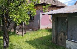 Casă de vânzare în comuna Caraula – 65 mp, teren generos 2800 mp