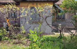 Casă de vânzare în comuna Caraula – 65 mp, teren generos 2800 mp