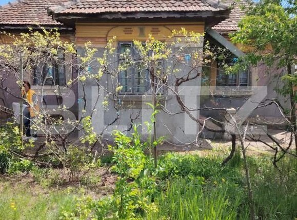 Casa de vânzare 3 camere Caraula - 193748CV | BLITZ Craiova | Poza5
