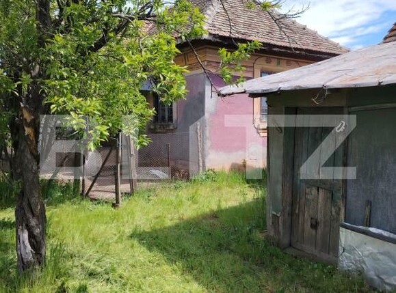 Casa de vânzare 3 camere Caraula - 193748CV | BLITZ Craiova | Poza4