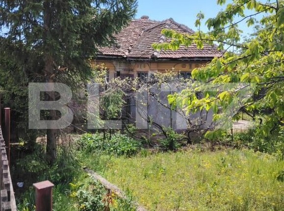 Casa de vânzare 3 camere Caraula - 193748CV | BLITZ Craiova | Poza3