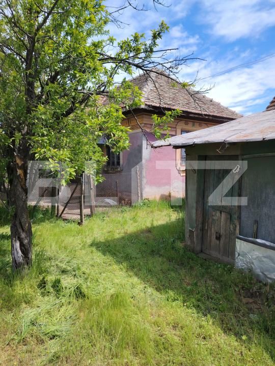 Casa de vânzare 3 camere Caraula - 193748CV | BLITZ Craiova | Poza4