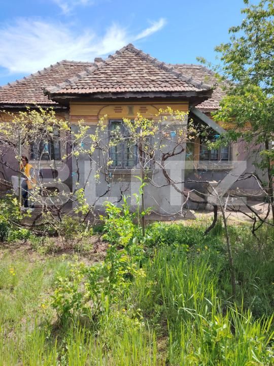 Casa de vânzare 3 camere Caraula - 193748CV | BLITZ Craiova | Poza5