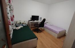 Casă parter, 40 mp, 2 dormitoare, mobilată complet, zona Brestei