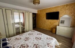 Casă S+P+1 cu living inalt, 328 mpc, teren 460 mp, zona Brestei