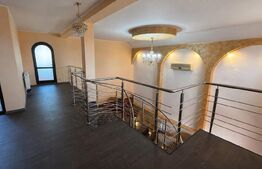 Casă S+P+1 cu living inalt, 328 mpc, teren 460 mp, zona Brestei