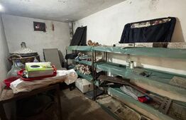 Casă S+P+1 cu living inalt, 328 mpc, teren 460 mp, zona Brestei