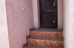 Casă S+P+1 cu living inalt, 328 mpc, teren 460 mp, zona Brestei