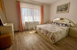 Casă S+P+1 cu living inalt, 328 mpc, teren 460 mp, zona Brestei