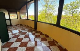 Casă S+P+1 cu living inalt, 328 mpc, teren 460 mp, zona Brestei