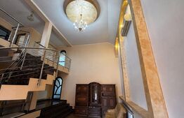 Casă S+P+1 cu living inalt, 328 mpc, teren 460 mp, zona Brestei