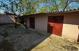 Casă S+P+1 cu living inalt, 328 mpc, teren 460 mp, zona Brestei