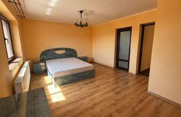 Casă S+P+1 cu living inalt, 328 mpc, teren 460 mp, zona Brestei