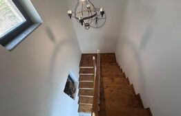 Casa P+M, 111 mp, cartier Brestei