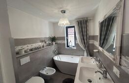 Casa P+M, 111 mp, cartier Brestei