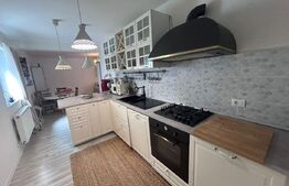 Casa P+M, 111 mp, cartier Brestei