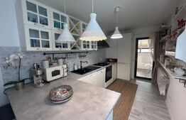 Casa P+M, 111 mp, cartier Brestei