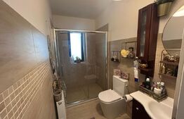 Casa P+M, 111 mp, cartier Brestei