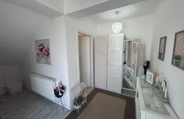 Casa P+M, 111 mp, cartier Brestei