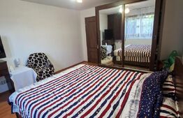 Vila spatioasa P+E+M, 254mp SU+M, 400mp teren, Braniste. 