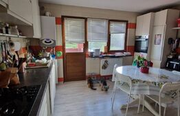 Vila spatioasa P+E+M, 254mp SU+M, 400mp teren, Braniste. 