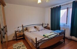 Vila spatioasa P+E+M, 254 mp SU+M, 400 mp teren, Braniste