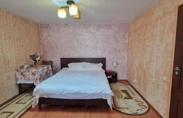 Vila spatioasa P+E+M, 254mp SU+M, 400mp teren, Braniste. 