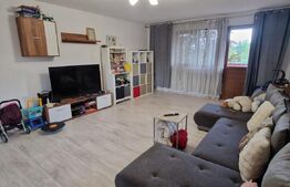 Vila spatioasa P+E+M, 254 mp SU+M, 400 mp teren, Braniste