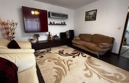 Casă P+1, 137 mp utili, teren 154 mp, zona Promenada Mall, Brestei