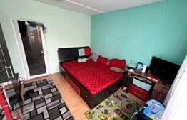 Garsonieră de vânzare Valea Rosie - 184307AV | BLITZ Craiova | Poza5