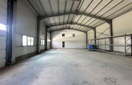 Hala industrială+birouri+teren 6.200 mp, Cârcea–zona Silozuri, Acces TIR
