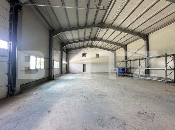 Spațiu industrial de vânzare Exterior Est - 194003SVI | BLITZ Craiova | Poza4