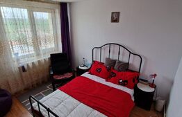 Apartament 2 camere, decomandat, 51 mp, zona Bals
